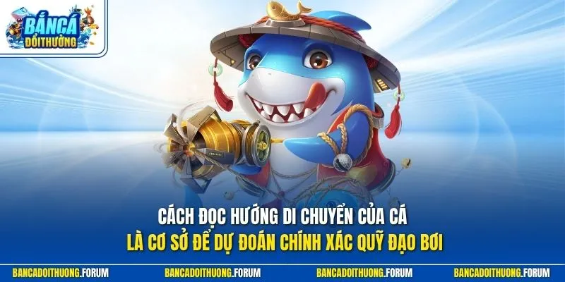 Cách đọc hướng di chuyển của cá là cơ sở để dự đoán chính xác quỹ đạo bơi